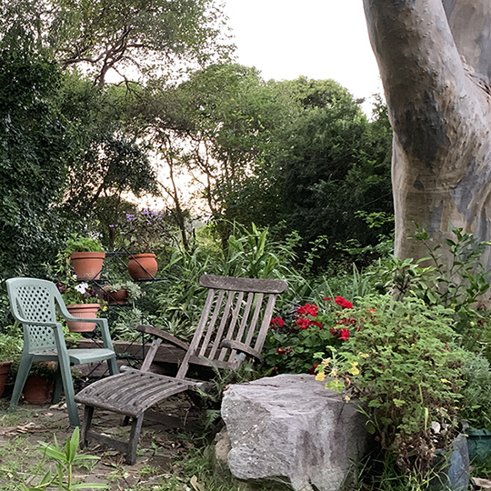 Native plants backyard example with chairs to enjoy it.